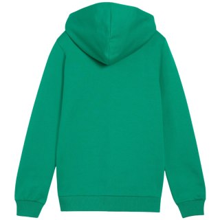 Bluza dla dzieci Puma teamGoal Casuals Hooded zielona 658596 05 152cm Puma