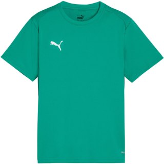 Koszulka dla dzieci Puma TeamGoal Jersey zielona 658637 05 152cm Puma