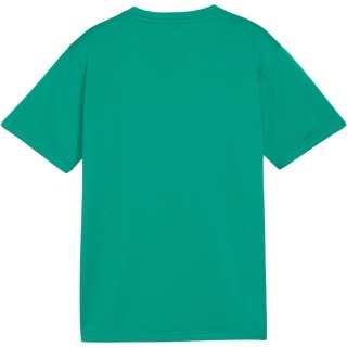 Koszulka dla dzieci Puma TeamGoal Jersey zielona 658637 05 164cm Puma