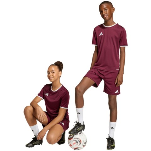 Spodenki dla dzieci adidas Entrada 26 bordowe JZ6527 128cm Adidas teamwear