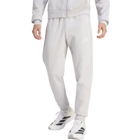Spodnie męskie adidas Entrada 26 Sweat szare JZ9139 M Adidas teamwear