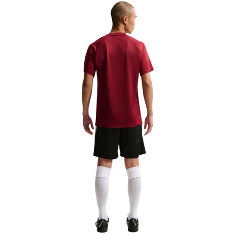 Koszulka męska Nike Dri-Fit Park VIII bordowa HV8173 677 L Nike Team