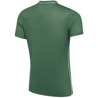 Koszulka męska Nike Dri-Fit Park 26 SS Top zielona HM7127 302 L Nike Team