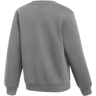 Bluza dla dzieci Nike Park 26 Fleece Crew szara IB1188 063 L Nike Team