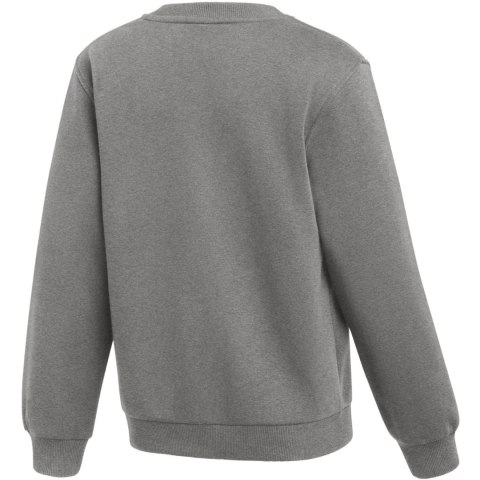 Bluza dla dzieci Nike Park 26 Fleece Crew szara IB1188 063 L Nike Team