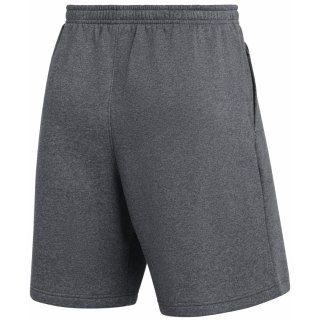 Spodenki męskie Nike Park 26 Fleece szare IB1238 063 L Nike Team