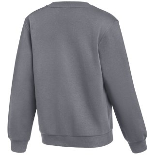 Bluza dla dzieci Nike Park 26 Fleece Crew szara IB1188 071 L Nike Team