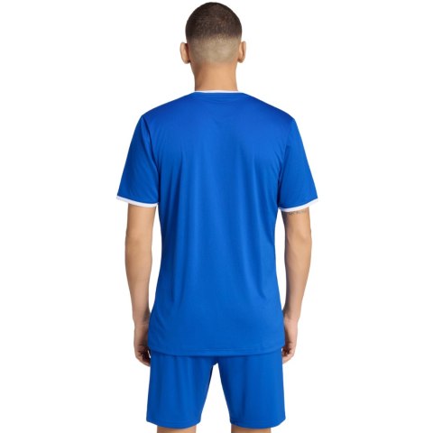 Koszulka męska adidas Entrada 26 Jersey niebieska JZ2506 XL Adidas teamwear