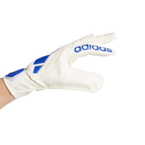 Rękawice bramkarskie adidas Copa Club Goalkeeper biało-niebieskie IX3835 Adidas teamwear Rękawice bramkarskie adidas Copa Club Goalkeeper biało-niebieskie IX3835 Adidas teamwear