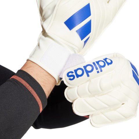 Rękawice bramkarskie adidas Copa Club Goalkeeper biało-niebieskie IX3835 Adidas teamwear Rękawice bramkarskie adidas Copa Club Goalkeeper biało-niebieskie IX3835 Adidas teamwear