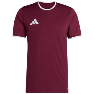 Koszulka męska adidas Entrada 26 Jersey bordowa JZ2507 L Adidas teamwear