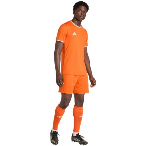 Koszulka męska adidas Entrada 26 Jersey pomarańczowa JZ2509 L Adidas teamwear