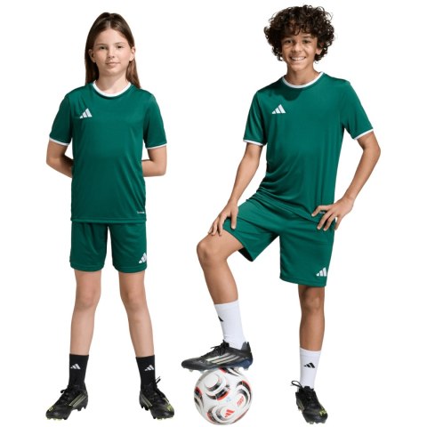 Spodenki dla dzieci adidas Entrada 26 zielone KE9831 116cm Adidas teamwear