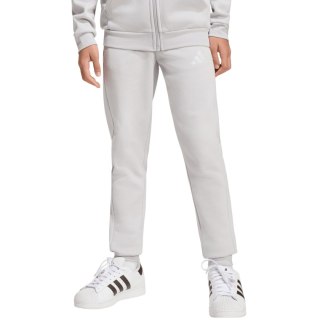 Spodnie dla dzieci adidas Entrada 26 Sweat Pants szare JZ9137 152cm Adidas teamwear