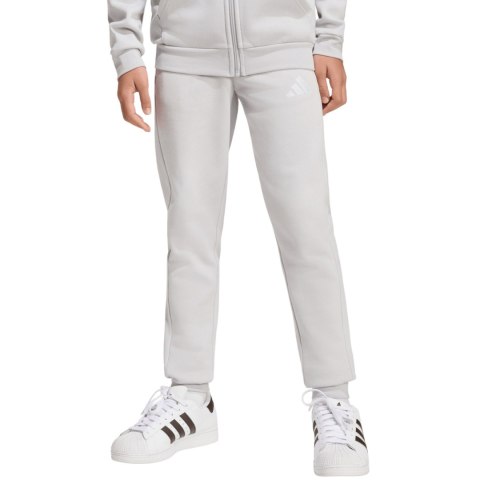 Spodnie dla dzieci adidas Entrada 26 Sweat Pants szare JZ9137 164cm Adidas teamwear