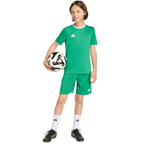 Spodenki dla dzieci adidas Entrada 26 zielone JZ6530 140cm Adidas teamwear