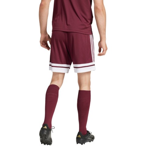 Spodenki męskie adidas Squadra 25 bordowe JC8677 Adidas teamwear