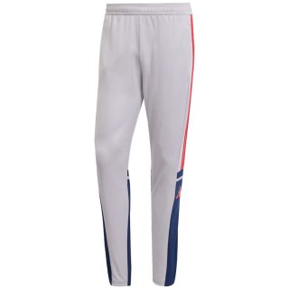 Spodnie męskie adidas Squadra 25 Training szare JP3372 Adidas