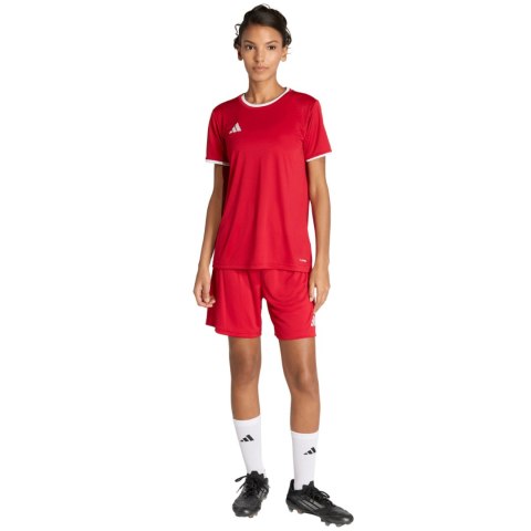 Spodenki damskie adidas Entrada 26 czerwone JZ2536 XS Adidas teamwear