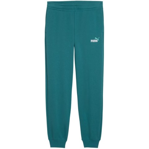 Spodnie dla dzieci Puma ESS 2 Color No.1 Logo zielone 693892 41 164cm Puma