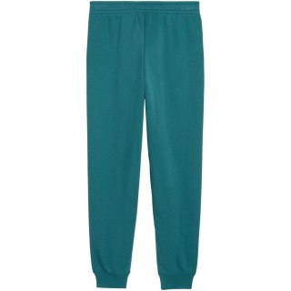 Spodnie dla dzieci Puma ESS 2 Color No.1 Logo zielone 693892 41 164cm Puma