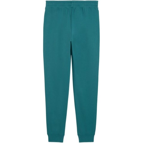 Spodnie męskie Puma Ess 2 Color No.1 Logo zielone 684714 41 S Puma
