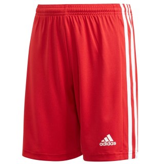 Spodenki dla dzieci adidas Squadra 21 Short Youth czerwone GN5761 176cm Adidas teamwear