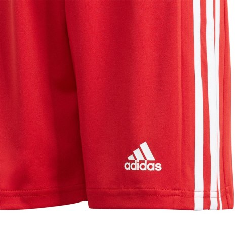 Spodenki dla dzieci adidas Squadra 21 Short Youth czerwone GN5761 176cm Adidas teamwear