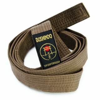 PAS DO KIMON 240cm brązowy BUSHINDO
