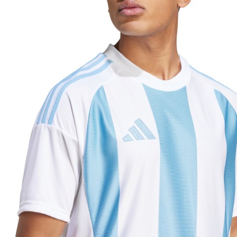 Koszulka męska adidas Striped 24 Jersey biało-błękitna IW4555 XL Adidas teamwear
