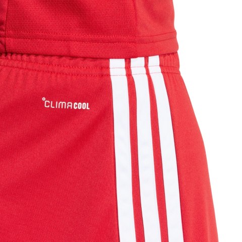 Spodenki męskie adidas Tiro 26 League czerwone KA8791 XL Adidas teamwear