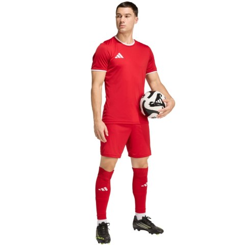 Spodenki męskie adidas Entrada 26 czerwone JZ2517 S Adidas teamwear