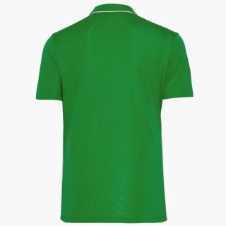 Koszulka Polo Nike Park 26 SS HM7136-302 zielony M Nike