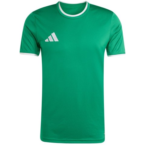 Koszulka męska adidas Entrada 26 Jersey zielona JZ2503 S Adidas teamwear