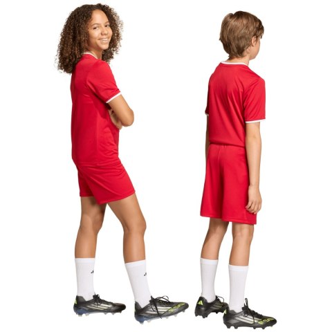 Spodenki dla dzieci adidas Entrada 26 czerwone JZ6528 128cm Adidas teamwear