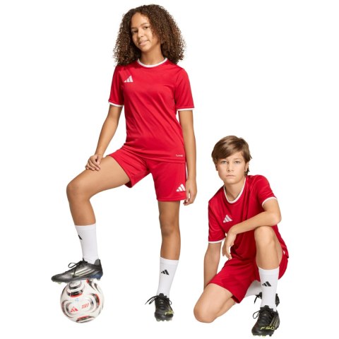 Spodenki dla dzieci adidas Entrada 26 czerwone JZ6528 164cm Adidas teamwear