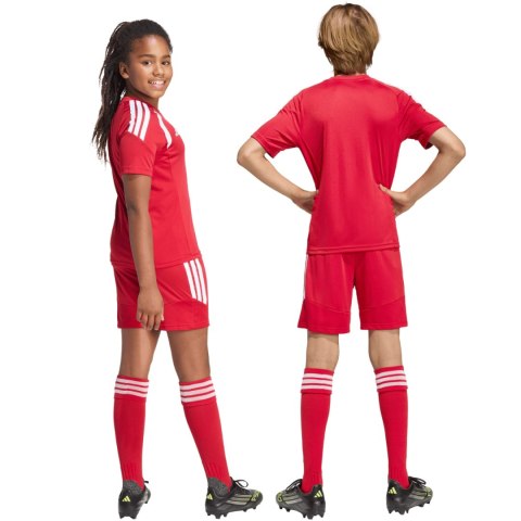 Spodenki dla dzieci adidas Tiro 26 League czerwone KA8817 140cm Adidas teamwear
