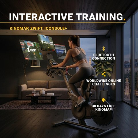 FLOW FITNESS ROWER SPINNINGOWY PERFORM S2i Flow Fitness