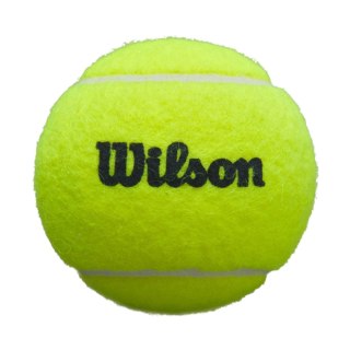 Piłki do padla Wilson Premier Padel Ball 3 pak WR8908401001 Wilson