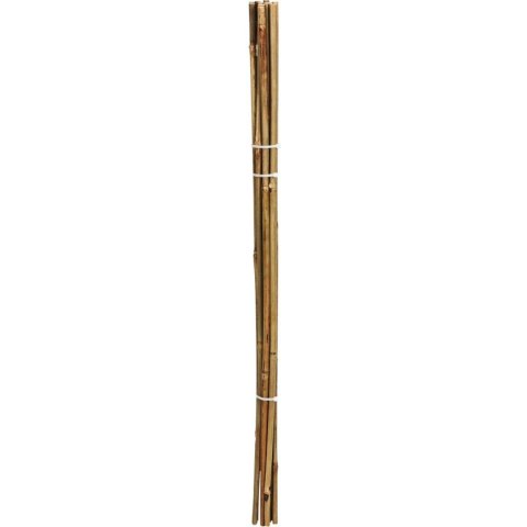PODPORA DO ROŚLIN BAMBUSOWA TYCZKA 78 CM 10SZT PROGARDEN