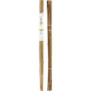 PODPORA DO ROŚLIN BAMBUSOWA TYCZKA 116 CM 10SZT PROGARDEN