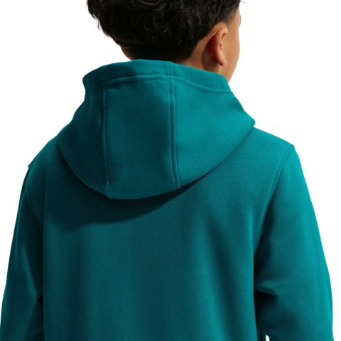 Bluza dla dzieci Nike Sportswear Club Fleece zielona FD3000 372 L Nike