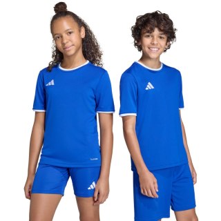 Koszulka dla dzieci adidas Entrada 26 Jersey niebieska JZ2531 176cm Adidas teamwear