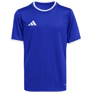 Koszulka dla dzieci adidas Entrada 26 Jersey niebieska JZ2531 176cm Adidas teamwear