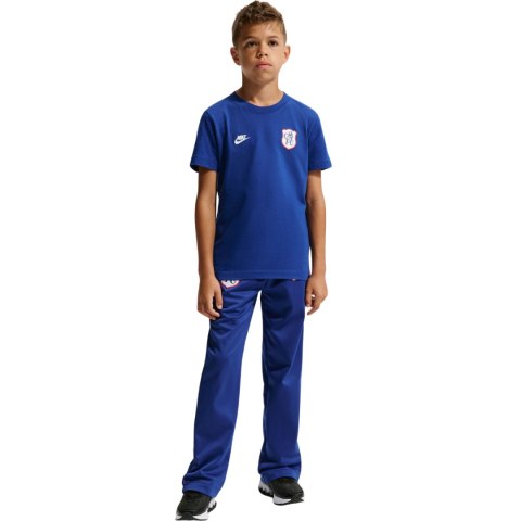 Koszulka dla dzieci Nike Chelsea FC Premier niebieska IQ5003 495 S Nike