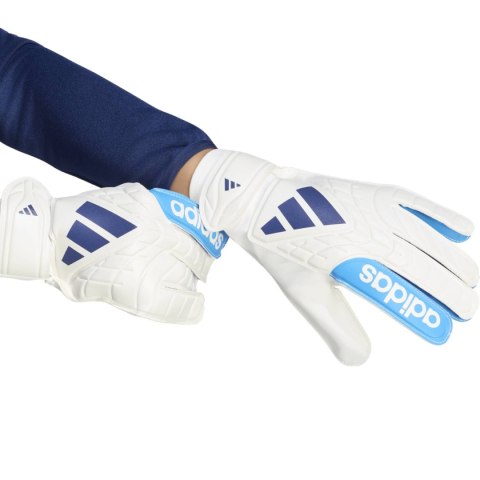 Rękawice bramkarskie adidas Copa Club biało-niebieskie KE9731 9,5 Adidas teamwear