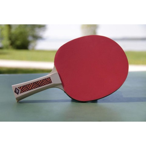RAKIETKA DO TENISA STOŁOWEGO CHAMPS LINE 300 FSC DONIC