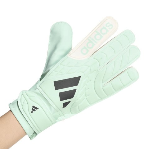 Rękawice adidas Copa GK Club KE9730 zielony 9,5 Adidas