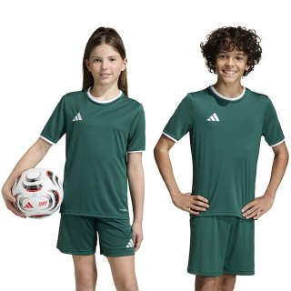 Koszulka adidas ENTRADA 26 JSY Junior KE9834 zielony 116 cm Adidas