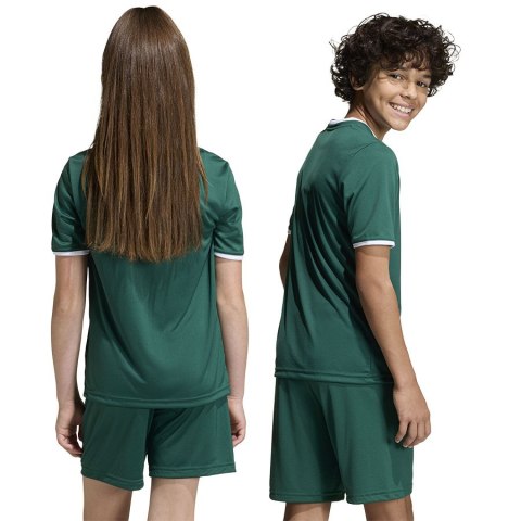 Koszulka adidas ENTRADA 26 JSY Junior KE9834 zielony 116 cm Adidas